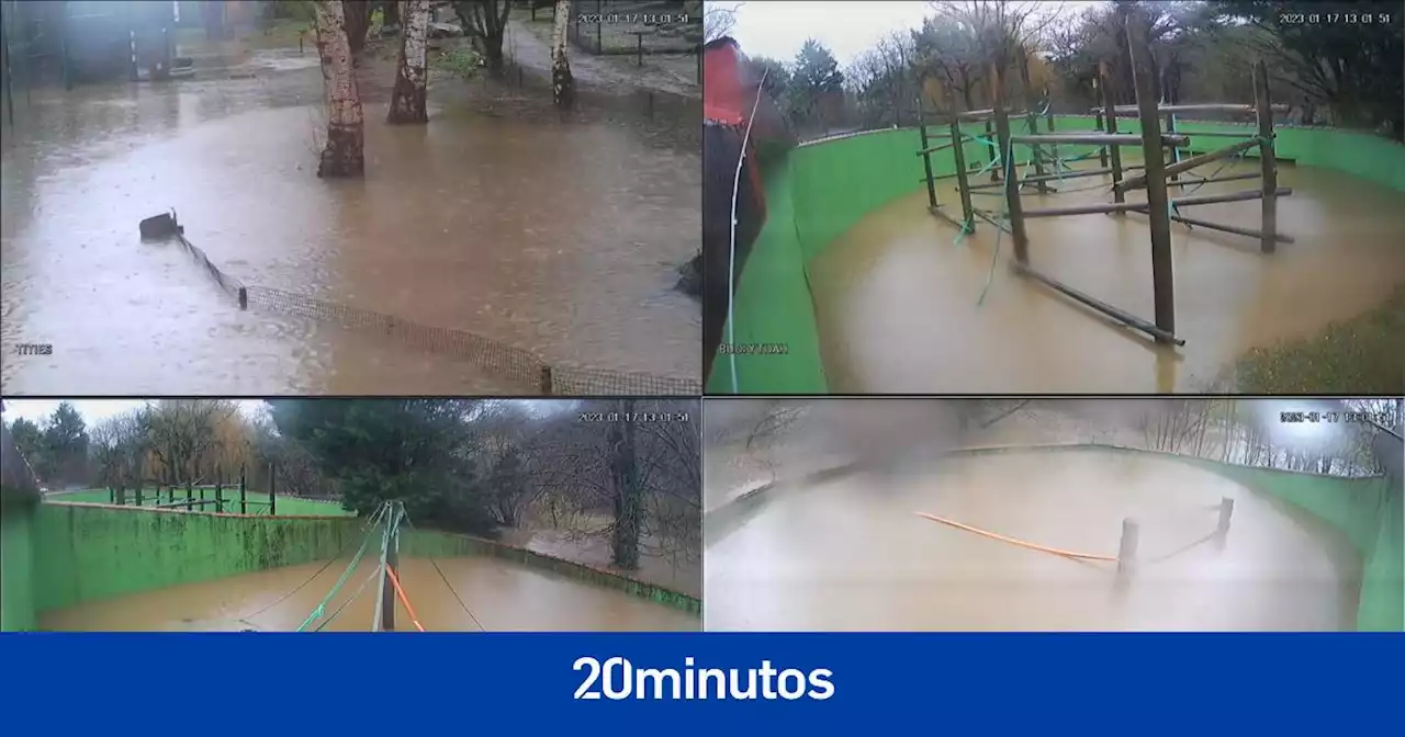 Las inundaciones en el Zoo de Santillana causadas por el temporal ponen en 'grave peligro' a especies en riesgo de extinción