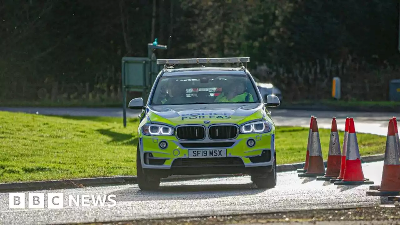 Two men taken to hospital as cattle loose on A9 near Perth