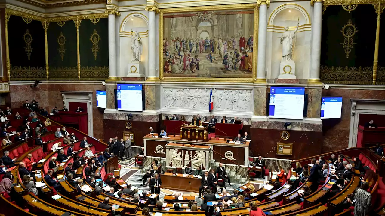 Souffrance animale: l'Assemblée nationale vote l'interdiction des 'colliers de dressage'