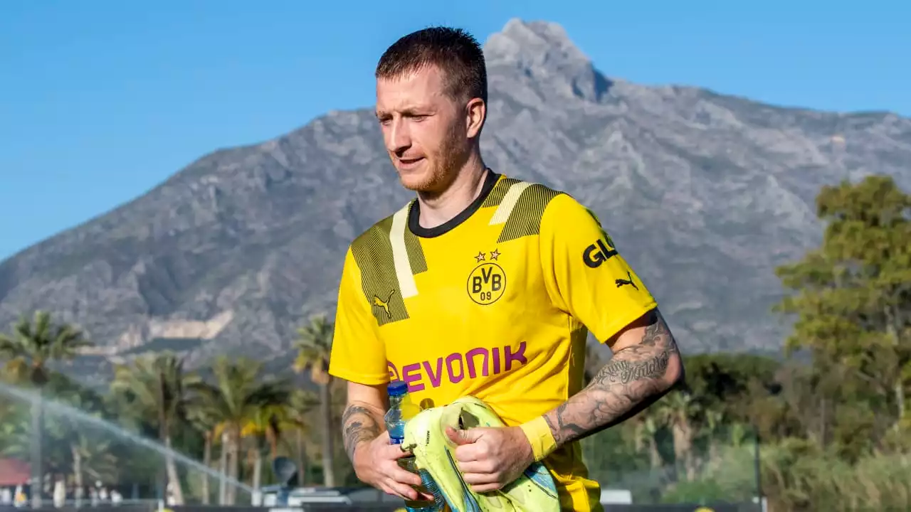 BVB: Geht es um die Zukunft des BVB-Stars? Reus-Berater bei Top-Klub gesichtet!