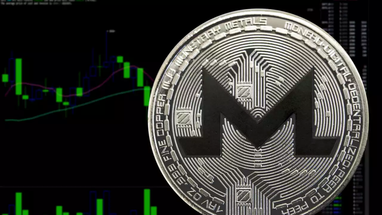 Biggest Movers: XMR, DOT Move Higher, Rebounding From Recent Declines – Market Updates Bitcoin News