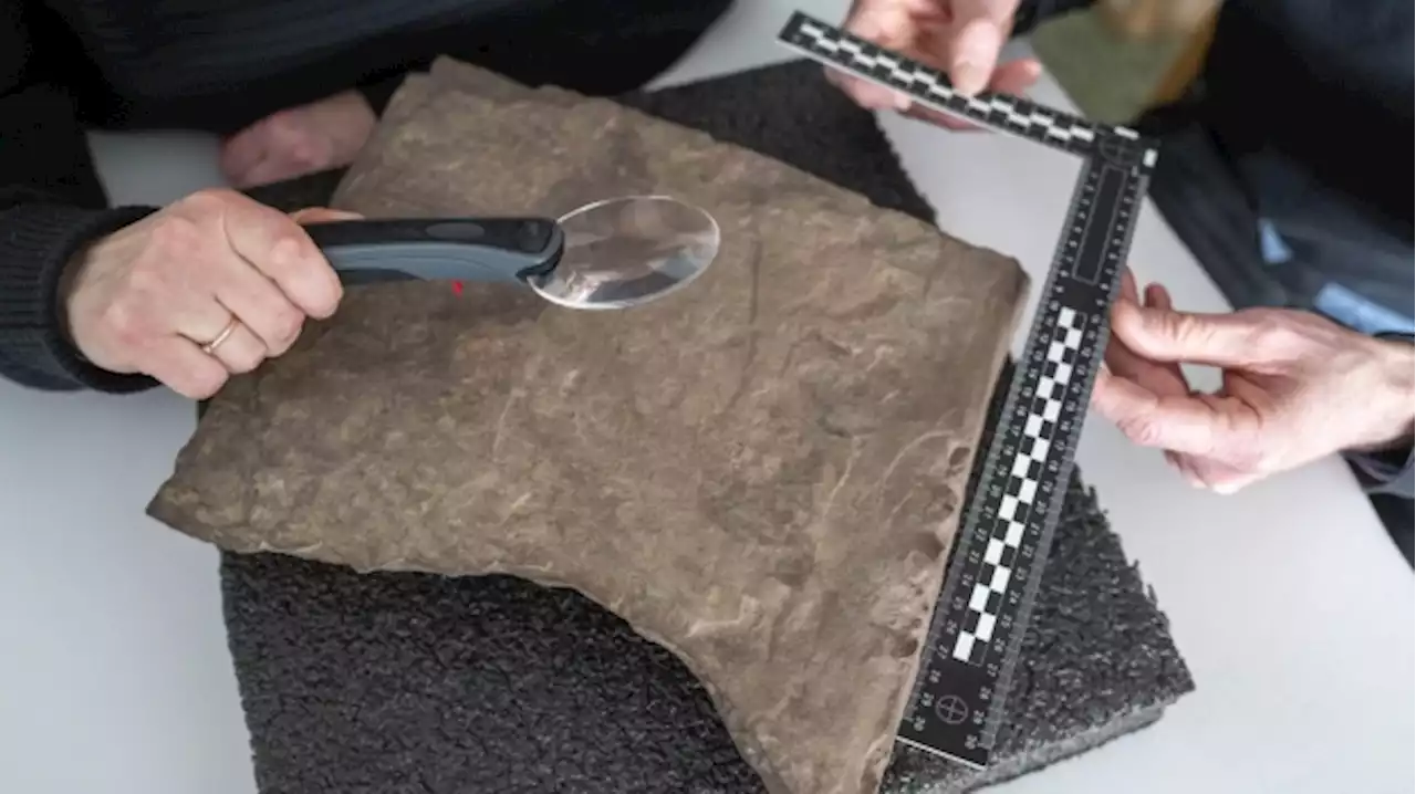 Norway archaeologists find 'world's oldest runestone'