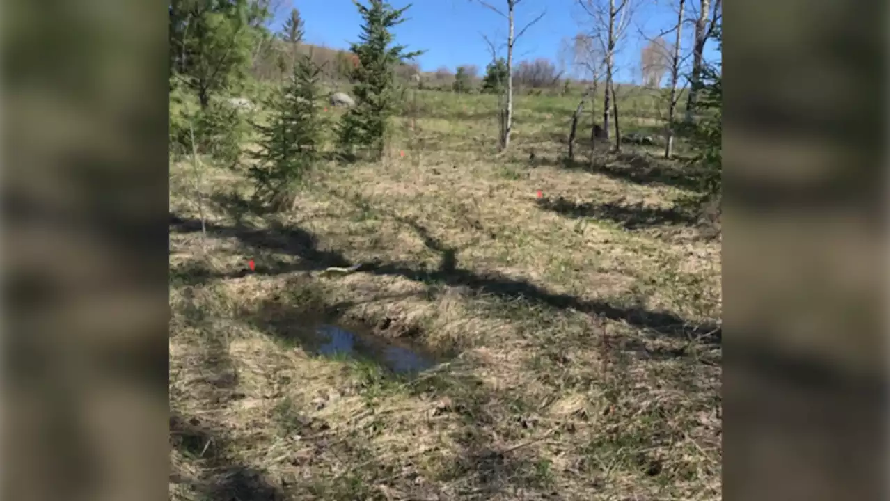 171 anomalies discovered at former residential school site in Ontario