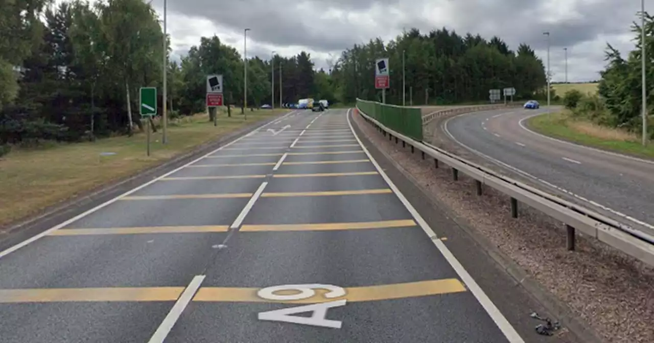 Cows on loose amid A9 traffic chaos as cops close major road after crash