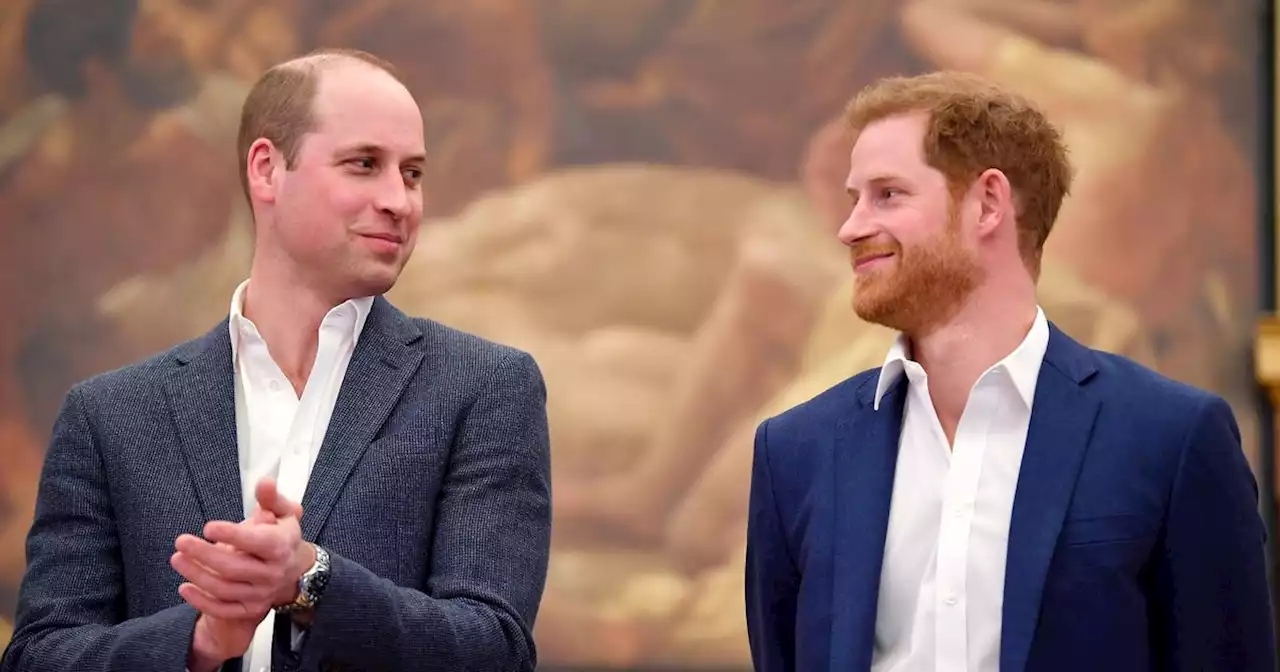 Prince Harry and William feud could be fuelled by 'sibling rivalry'