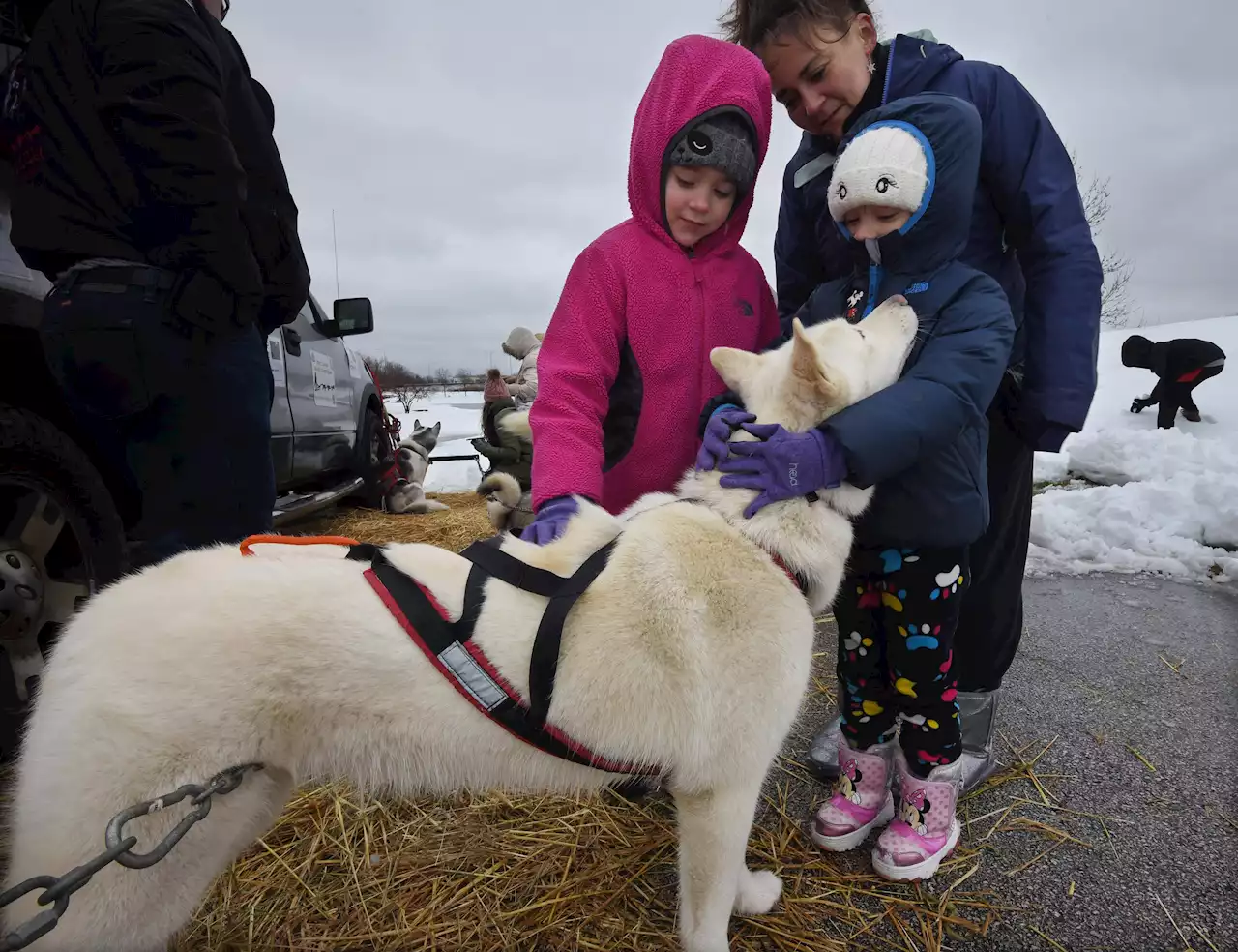 Things to do Jan. 20-26: Winterfests, Lunar New Year events and more