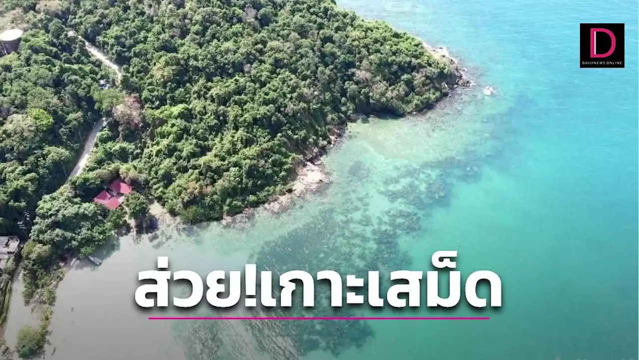 กรมอุทยานฯสอบปมส่วย 'เกาะเสม็ด' หลังรถสองแถว-ผู้ประกอบการร้องเรียน | เดลินิวส์