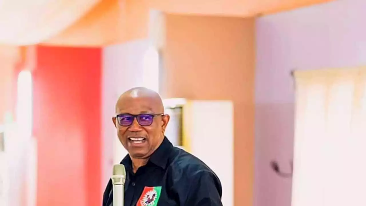 2023: Peter Obi replies Saraki's claim his government will be disastrous without structure