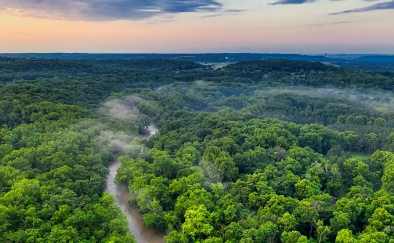 Conozca tres razones fundamentales para proteger el Amazonas