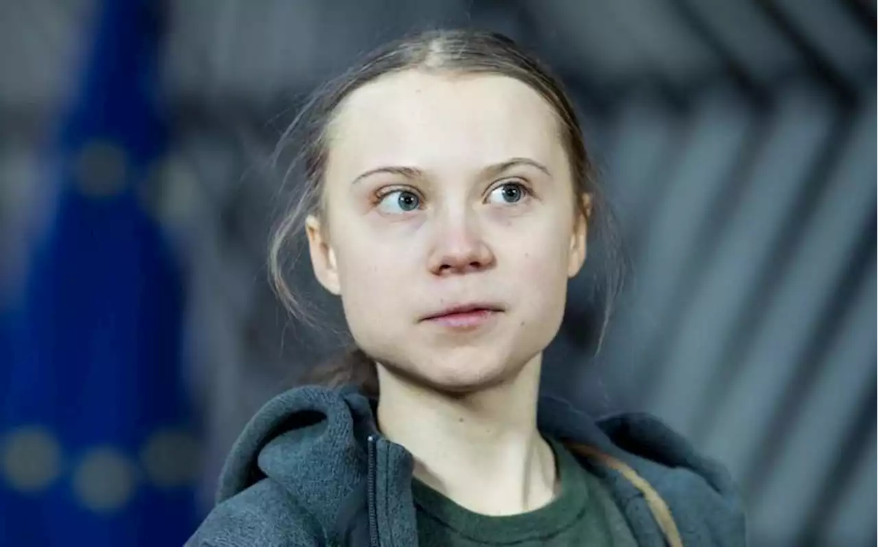 Detenida activista GretaThunberg en Alemania