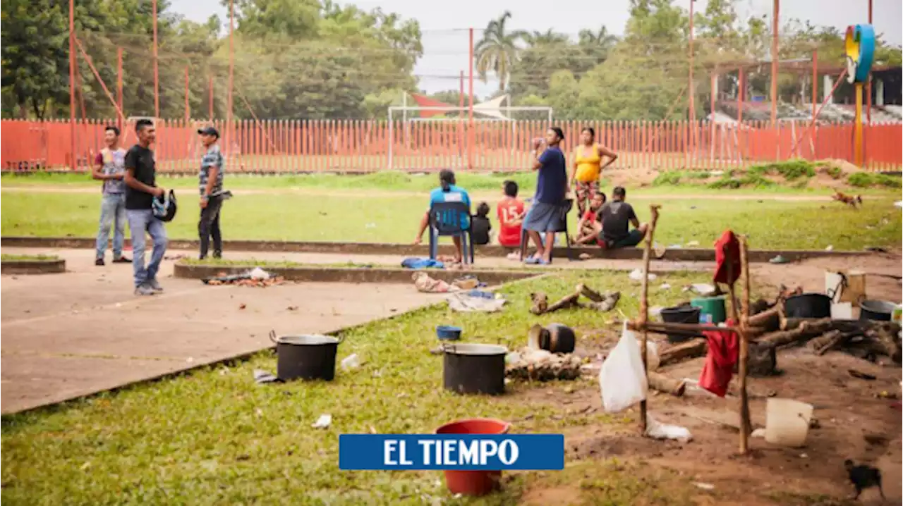 Crisis humanitaria en Guaviare de pueblos Jiw y Nükak amenaza su exterminio