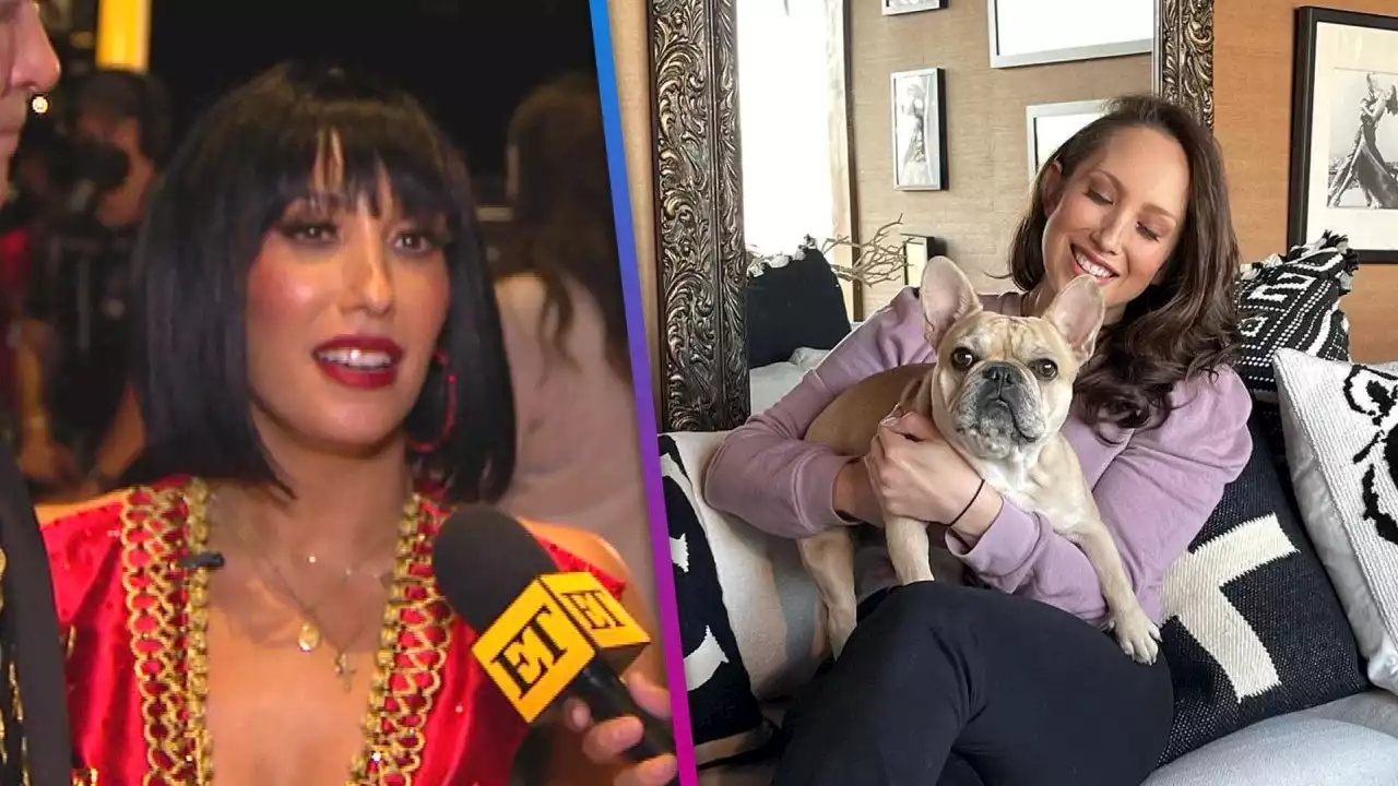 Cheryl Burke Has Full Custody of Her and Matthew Lawrence's Dog