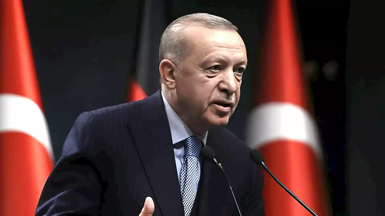 Turkey demands NATO hopefuls 'hand over your terrorists' before it approves membership: report