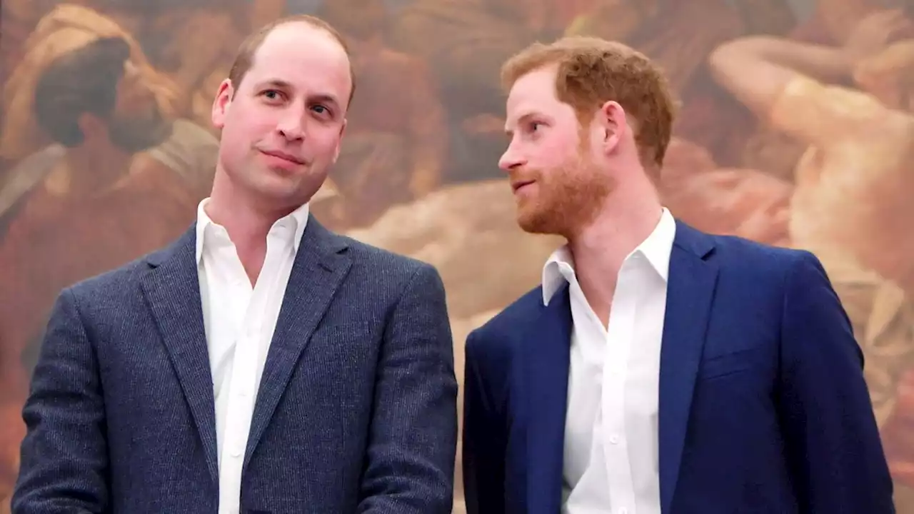 Prinz Harry: William dachte, er wird durch die Therapien wahnhaft