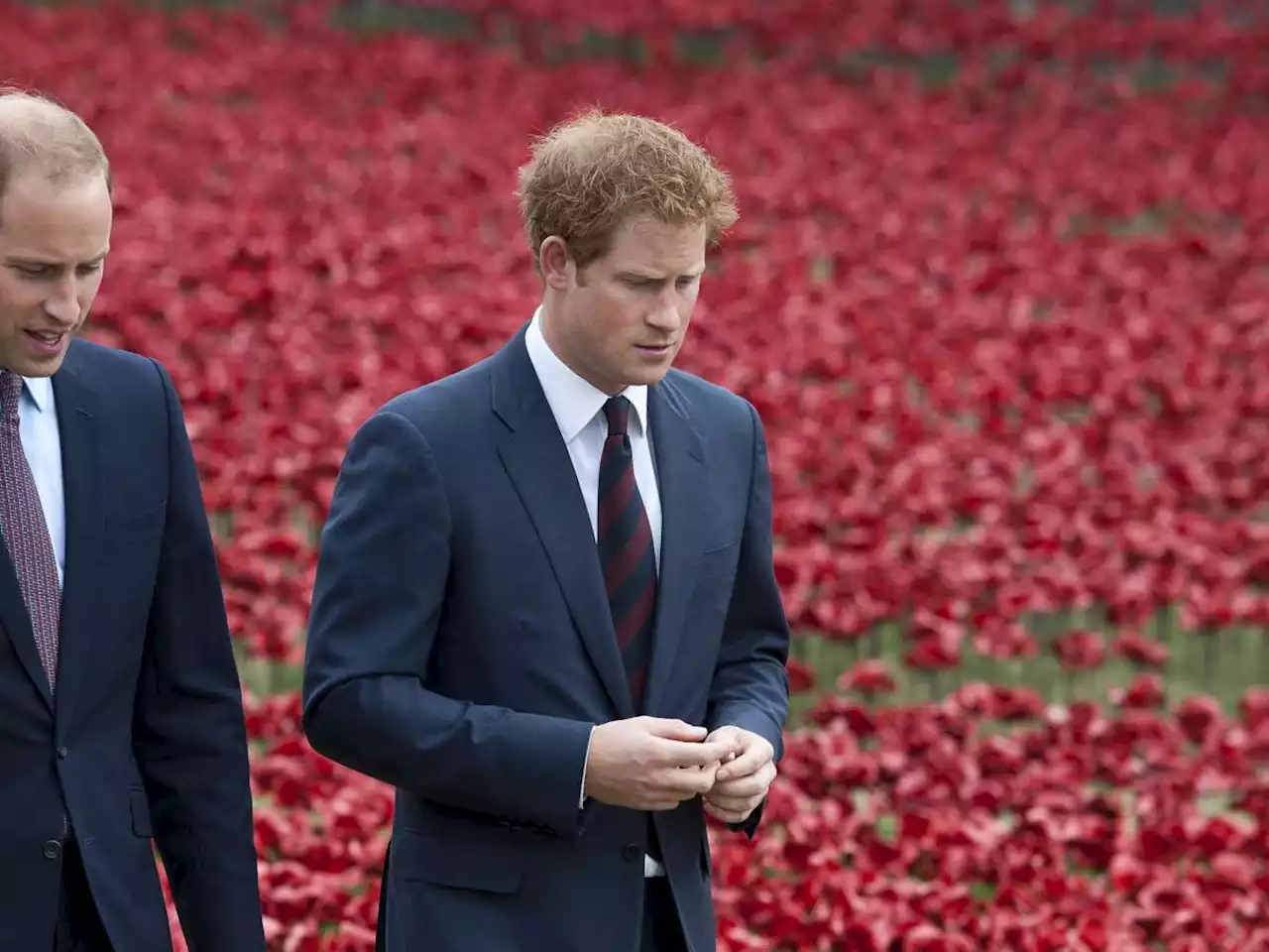 Harry contro William: le recriminazioni della “Riserva” contro “L’erede”