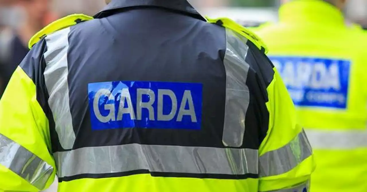 Two gardaí a week resigning from force with numbers quitting on the rise