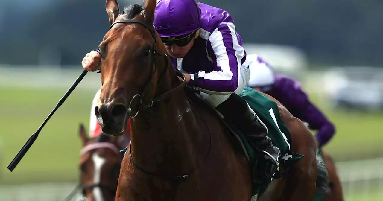 Aidan O’Brien in pole position for Classics after Little Big Bear confirmed European champion juvenile