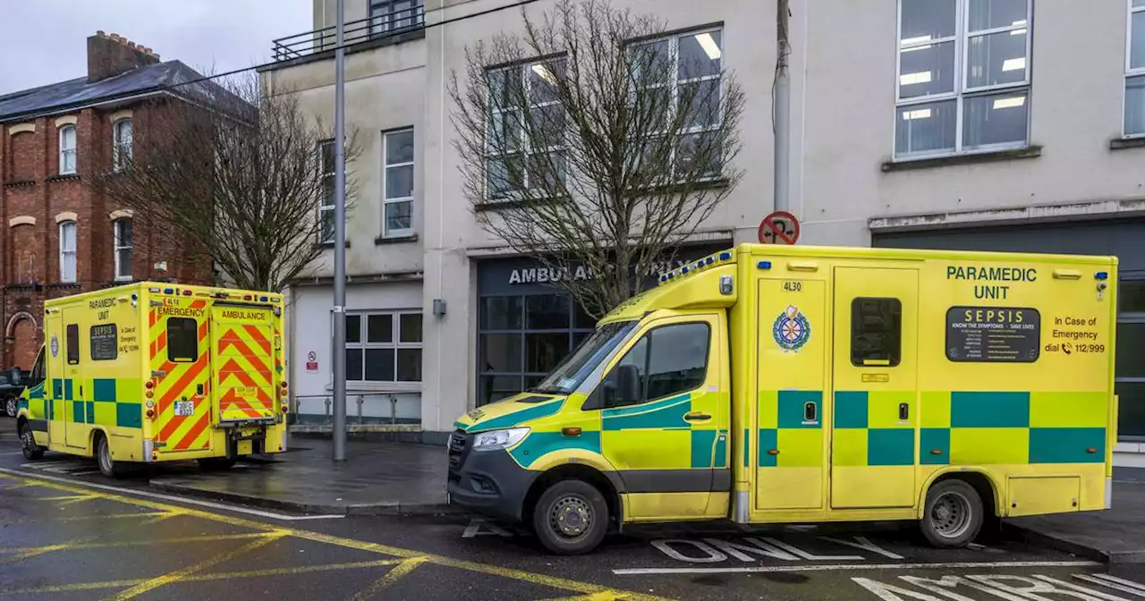 Hospital overcrowding part of European trend, HSE to tell committee