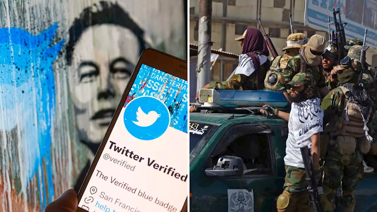 Taliban Officials Get 'Verified' Blue Checks on Twitter as They Ban Women From Attending School