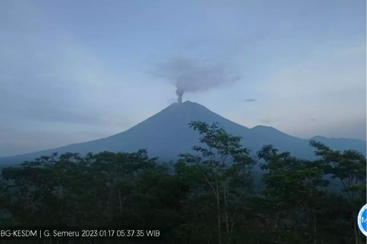 Gunung Semeru Erupsi Lagi, BPBD Lumajang: Hampir Setiap Hari