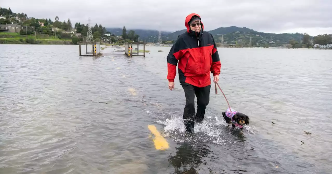 New Bay Area maps show hidden flood risk from sea level rise and groundwater