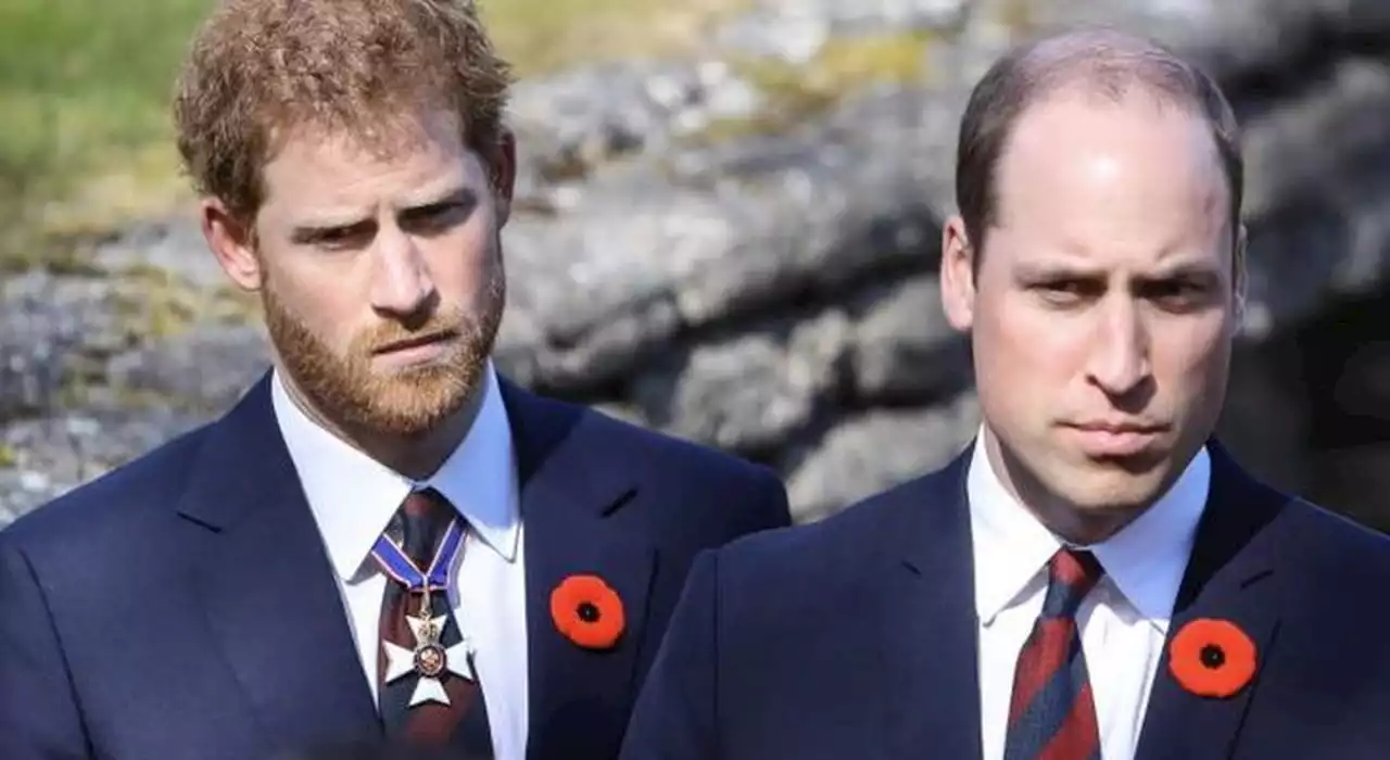 Principe Harry si sente male dopo le scuse del fratello William: il momento triste. Cosa è accaduto