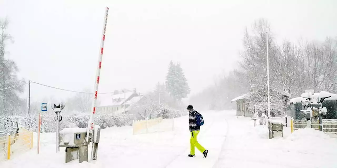 Tempête Fien : 15 000 coupures d'électricité recensées dans le Sud-Ouest