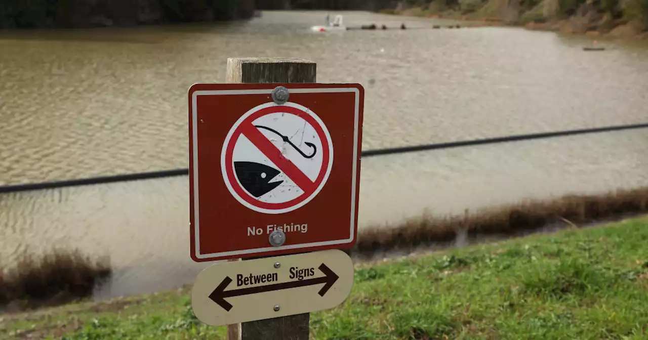 Aux Etats-Unis, manger un poisson revient à boire de l’eau contaminée pendant un mois