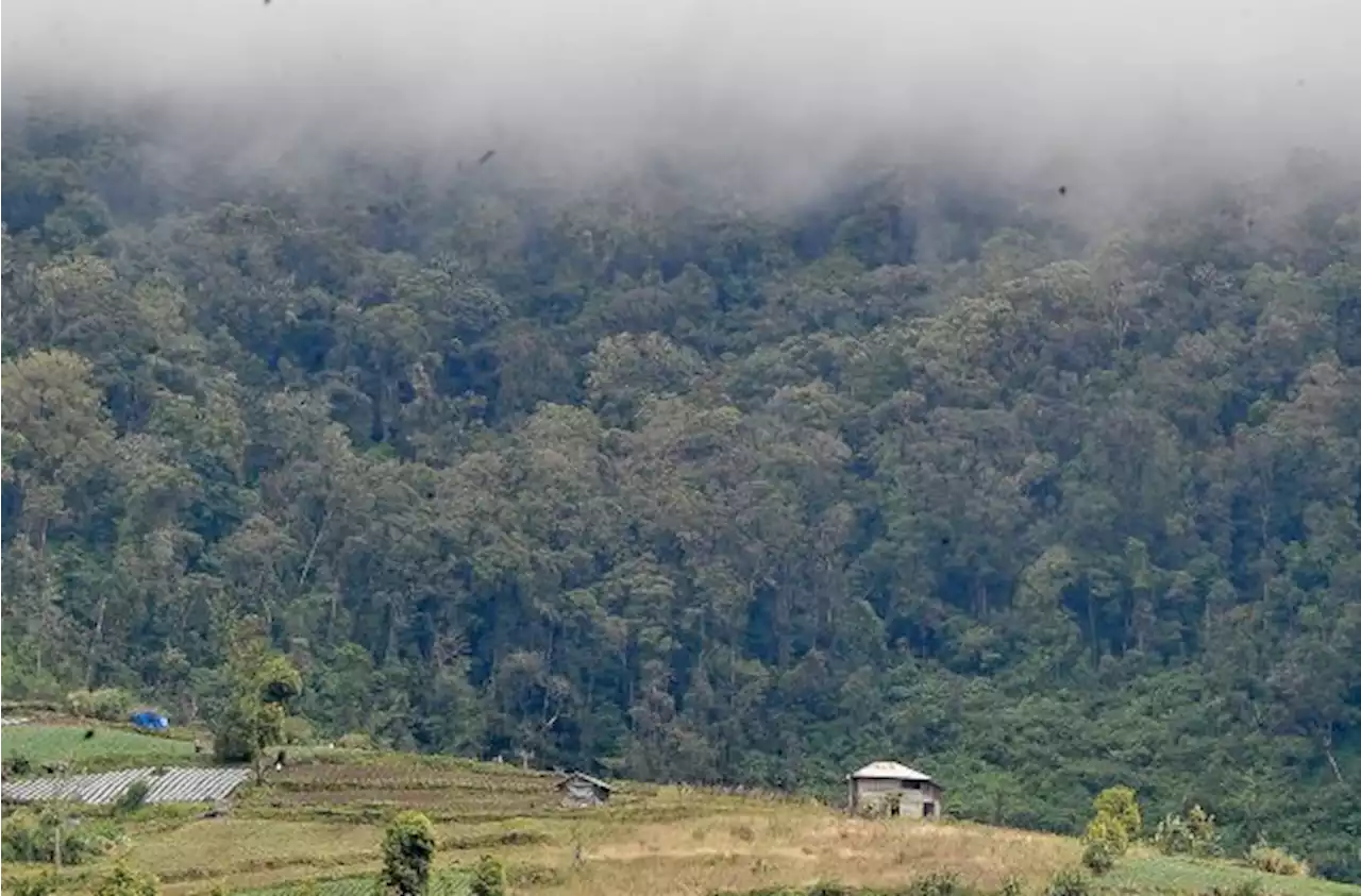 Lahar Dingin Gunung Kerinci Timbun 10 Hektare Sawah Warga