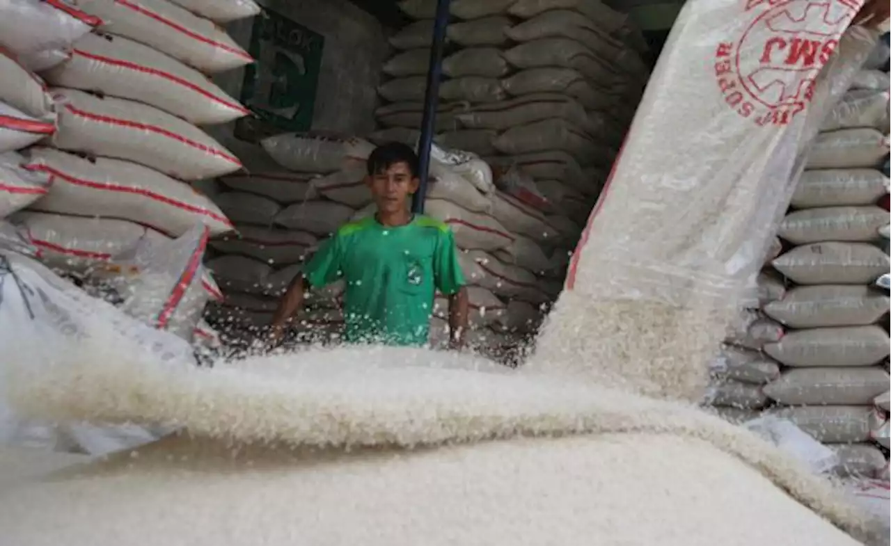 Masih Ada Panen, Kabupaten Malang belum Perlu OP Beras