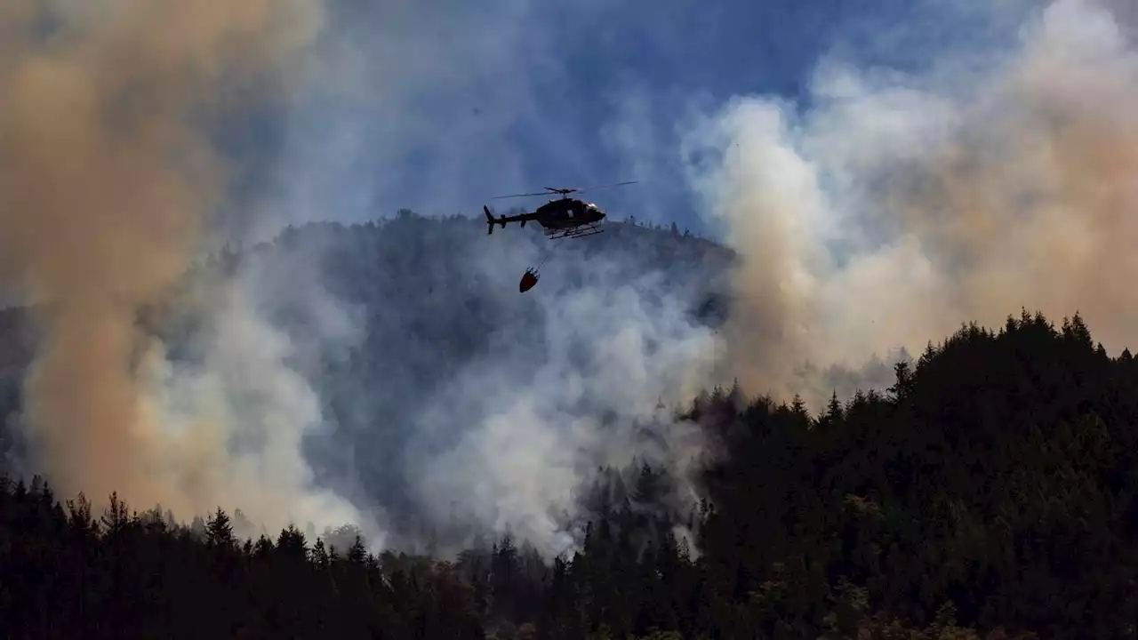 Alberto Fernández envió su apoyo a El Hoyo ante el incendio que amenaza a zonas pobladas