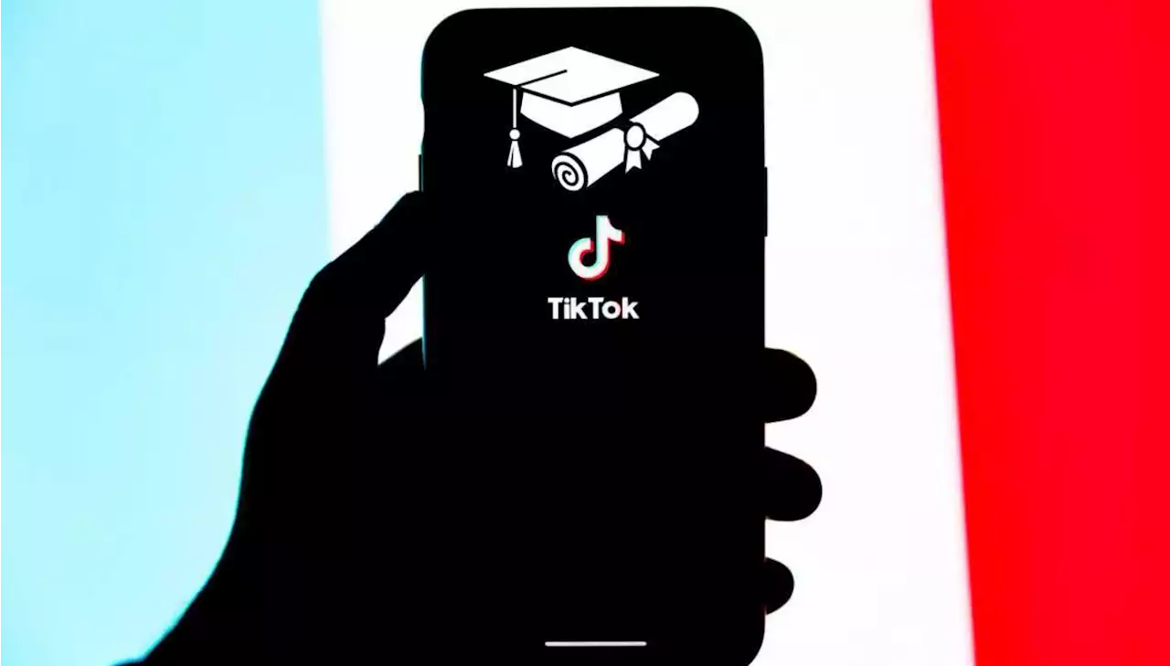 TikTok Academy: conviértete en un experto en TikTok