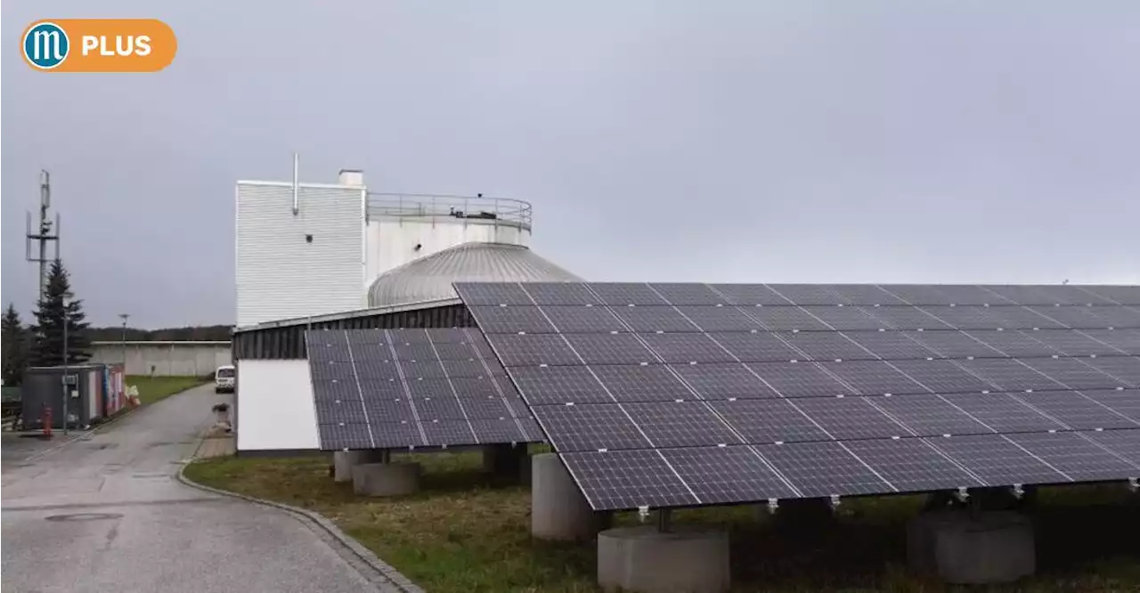 Noch mehr eigene Energie ist in Abensberg das Ziel