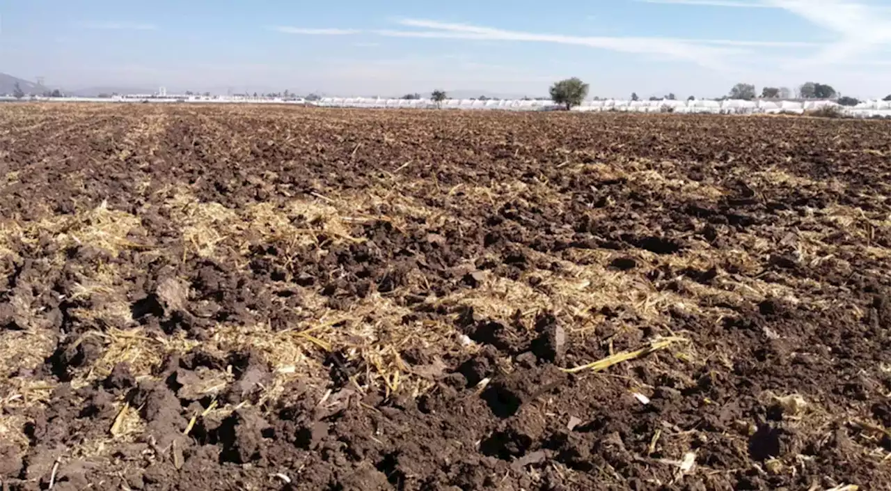 Sequía inminente para Guanajuato, prevén perforación de pozos para abastecer zona norte