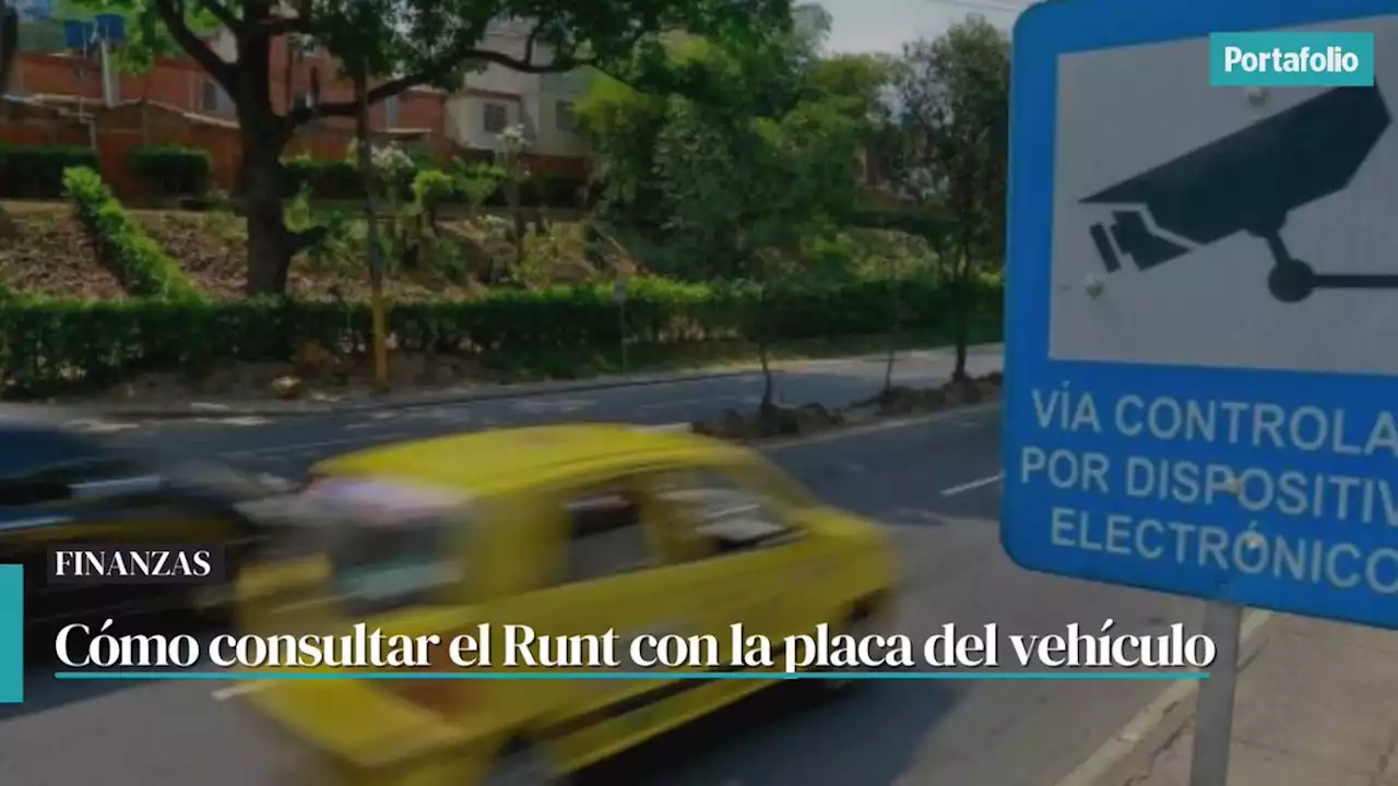 Paso a paso para consultar el Runt con la placa de su vehículo