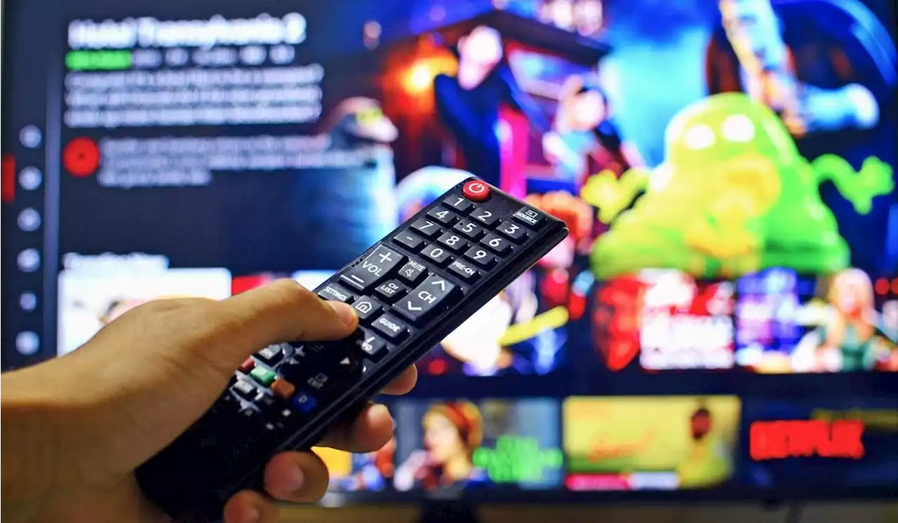 Cómo quedaron los precios en 2023 de Netflix, Amazon Prime y otras plataformas en Colombia - Pulzo