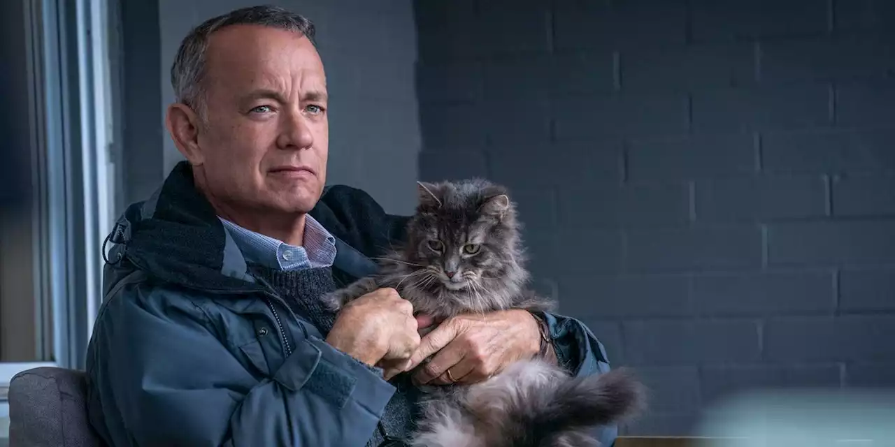 Tom Hanks Reveals The One Movie No One Asks About