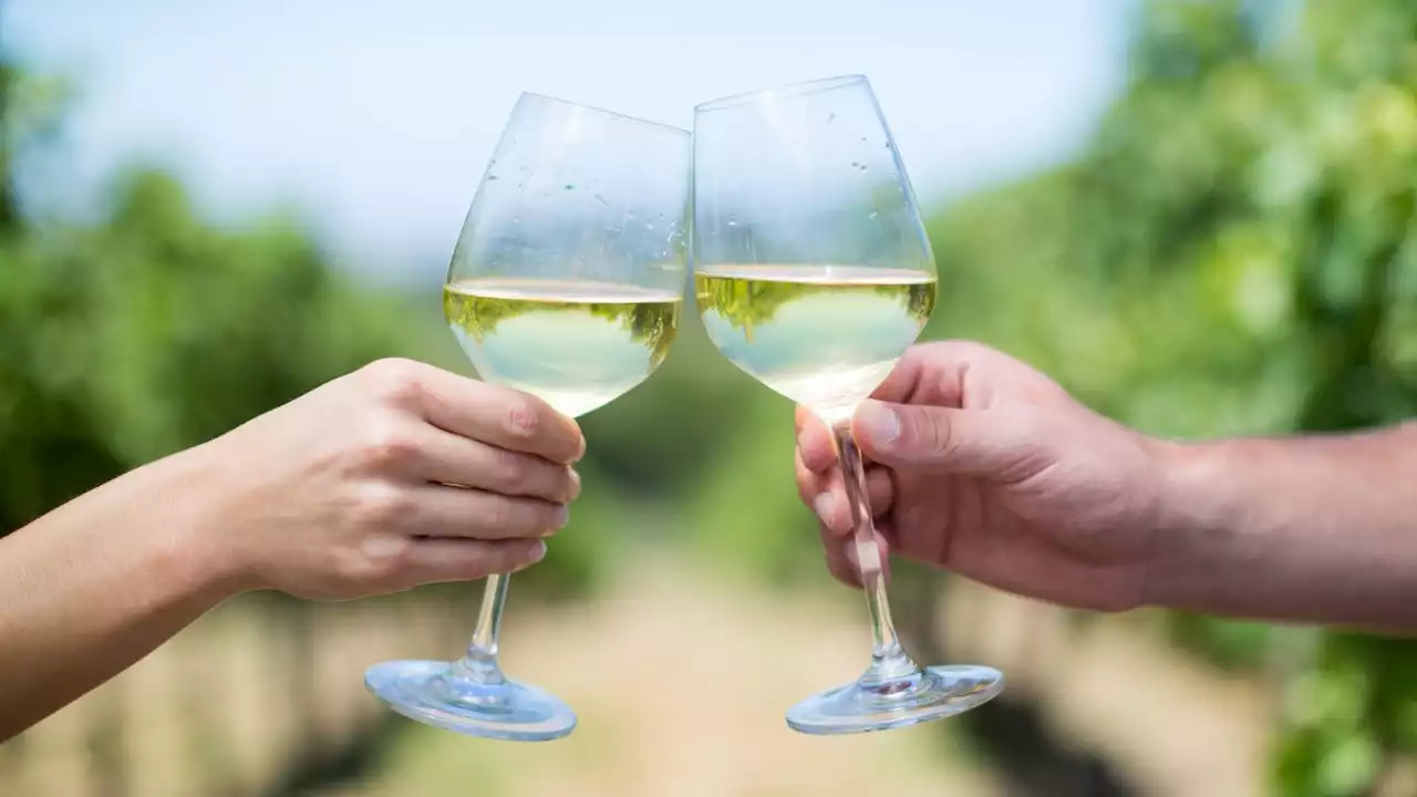 British sauvignon blanc wine from Gloucestershire vineyard named one of the 'best in the world'