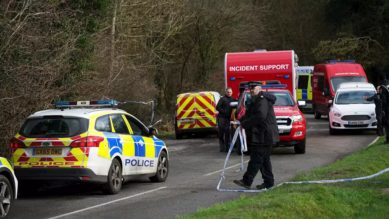 Surrey dog attack: Family of dog walker mauled to death in Caterham say it is 'an extremely difficult time'