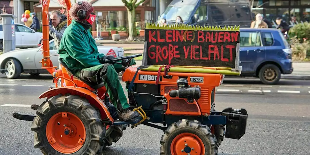 „Wir haben es satt!“-Demonstration: Kritik an Özdemir