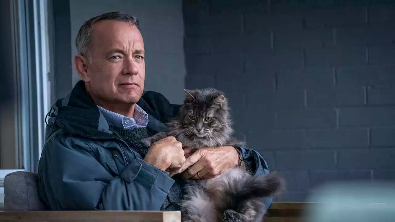 Tom Hanks' 15 essential feel-good roles (including 'A Man Called Otto'), ranked