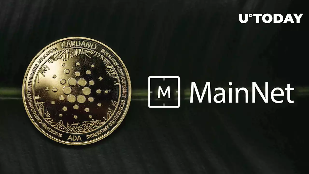 Cardano's Djed Stablecoin Launch in Mainnet Is Near, ADA Contributor Assumes