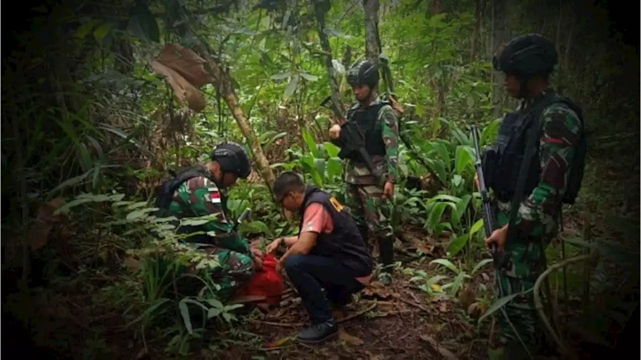 Pasukan Bima Sakti TNI Gagalkan Transaksi Narkoba Internasional Lintas Negara di Hutan Papua