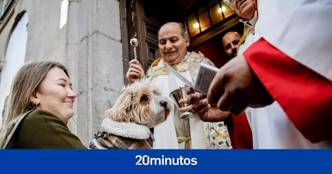 Las mascotas reciben su bendición por San Antón