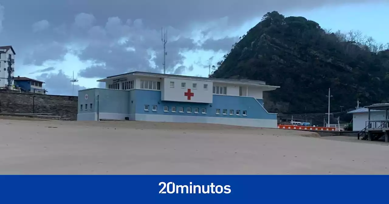 Una pequeña foca aparece por sorpresa en la playa de Getaria