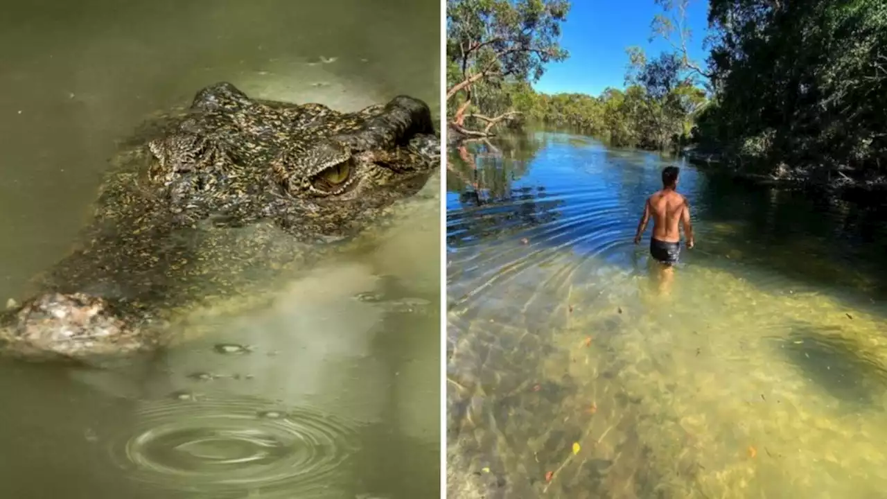 Massive 3m croc ‘sighting’ at Queensland swimming spot 500km from usual habitat