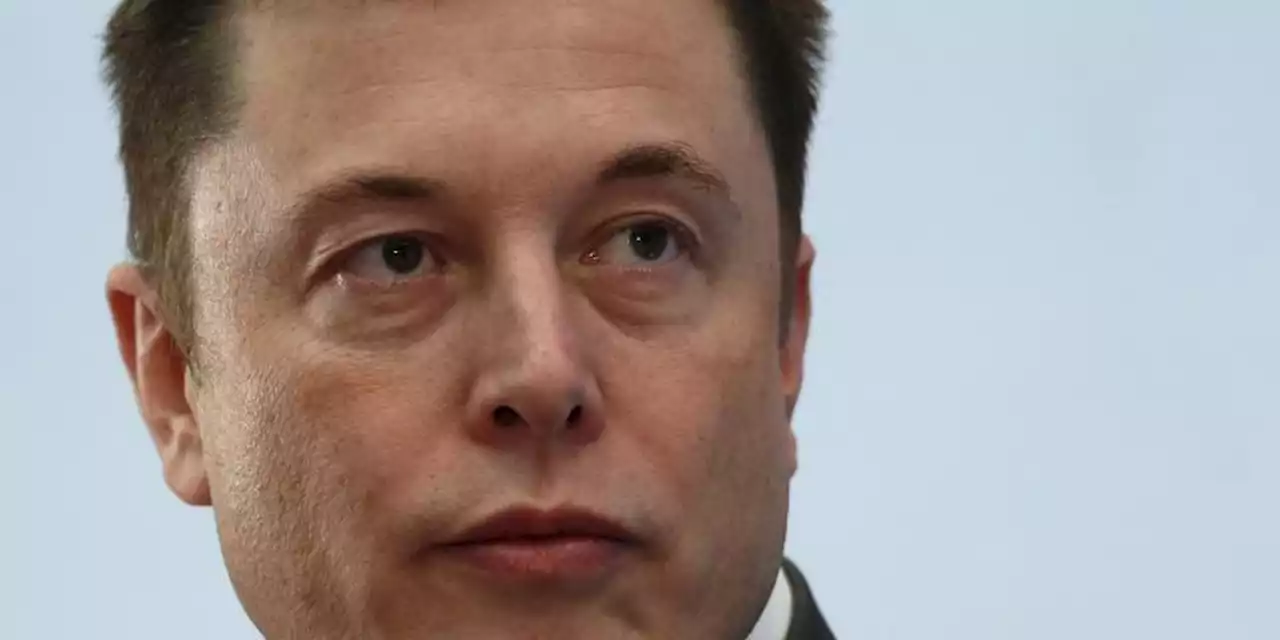 Twitter: todo lo que Elon Musk ha cambiado en la 'app' del pajaro hasta ahora