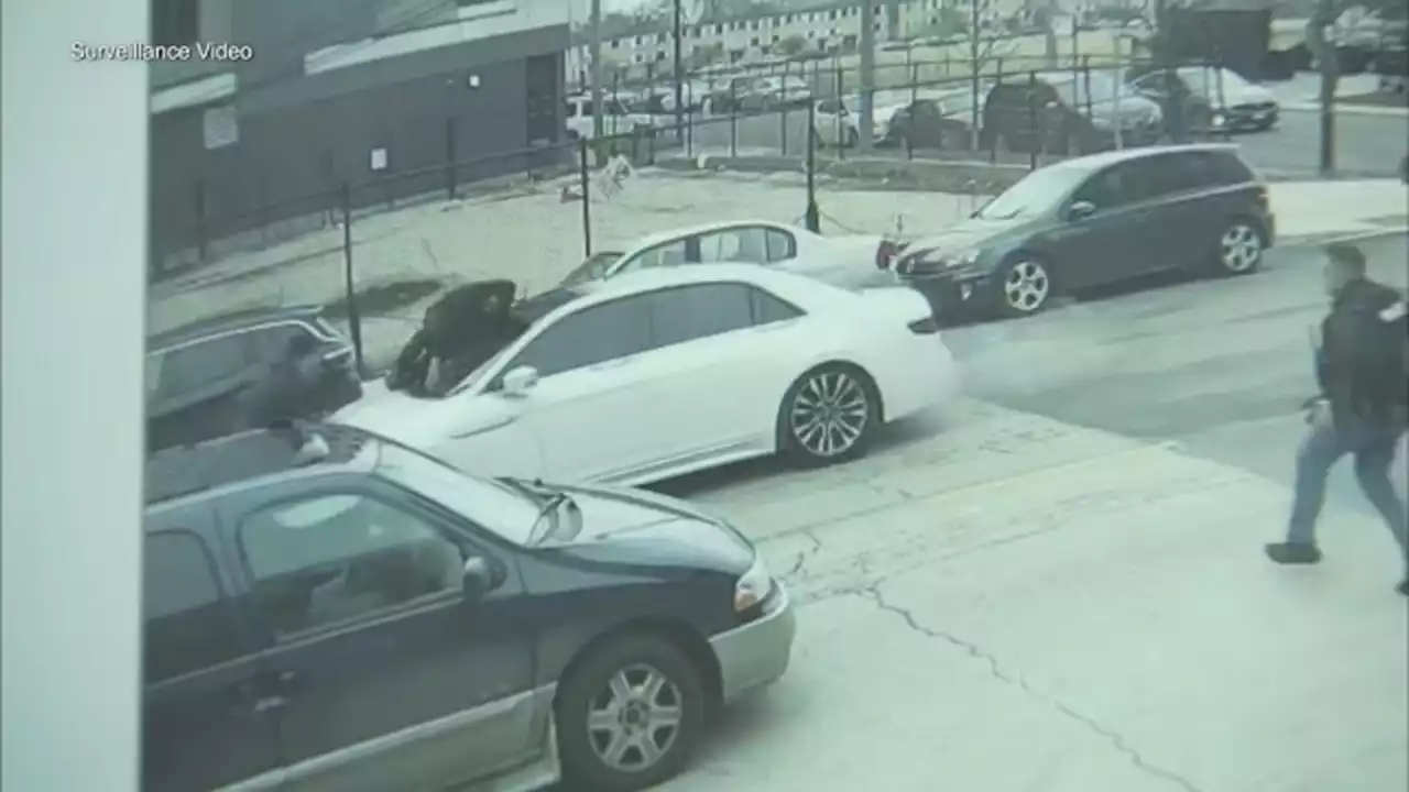 Suspected Chicago car thief clings to hood of getaway car as crew flees cops: VIDEO