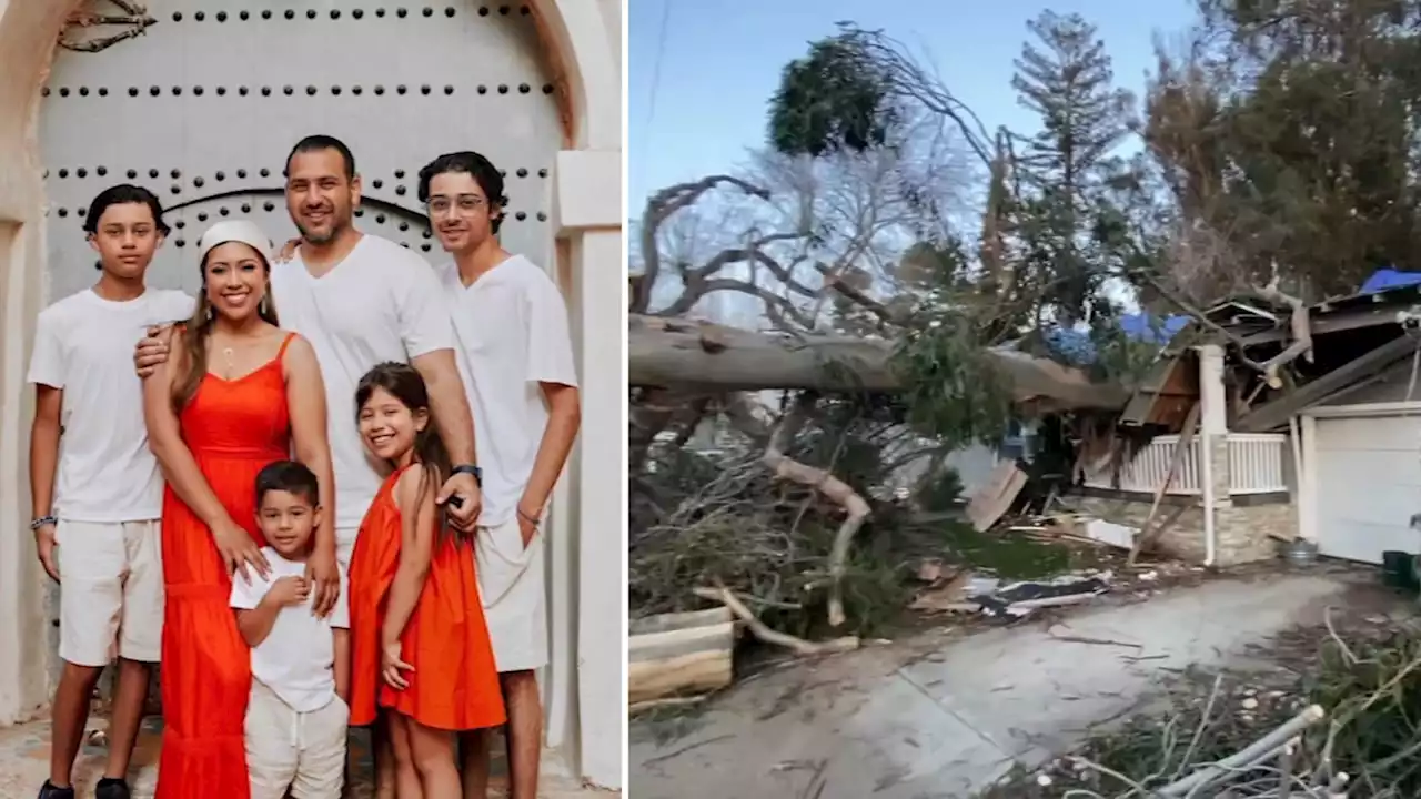 Community pleads for help after tree falls on Castro Valley home, severely injuring father of 4