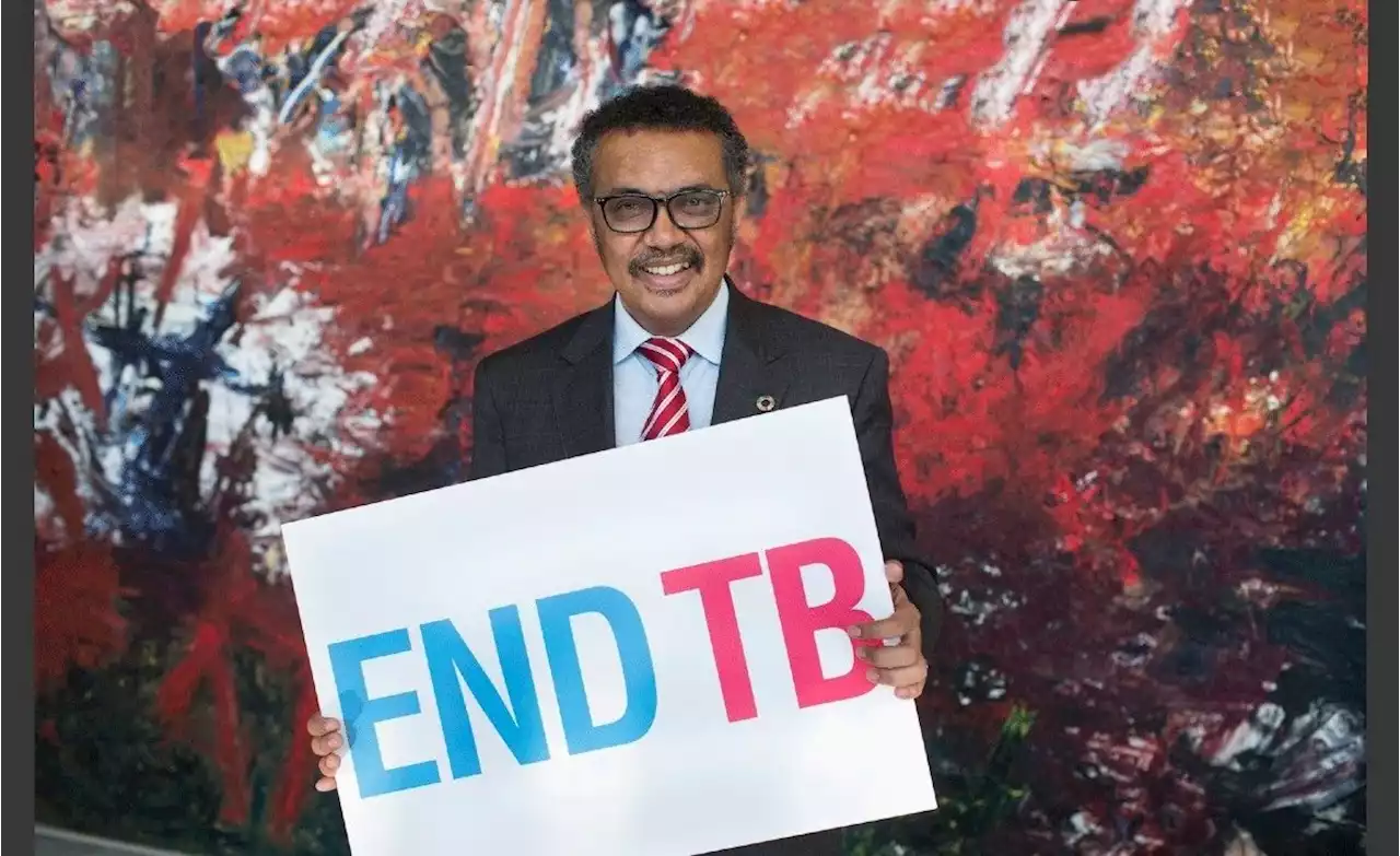 Africa: WHO Announces Plans to Establish a TB Vaccine Accelerator Council